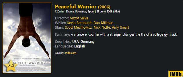 peaceful warrior movie netflix